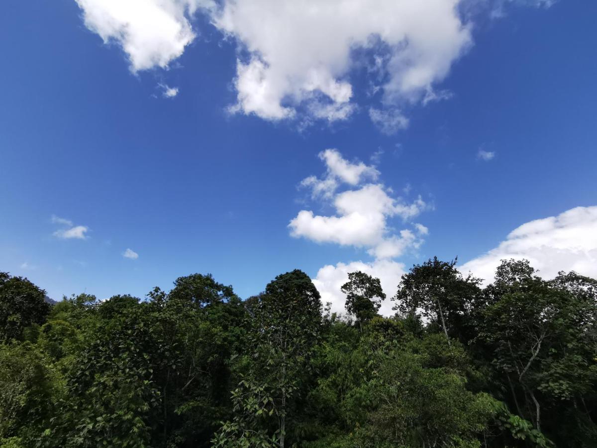 Selesa Hillhomes 1 At Bukit Tinggi Bentong المظهر الخارجي الصورة